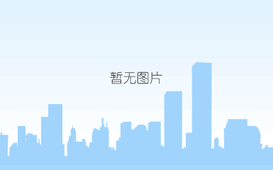 shmm1lzb重合闸载波通讯功能